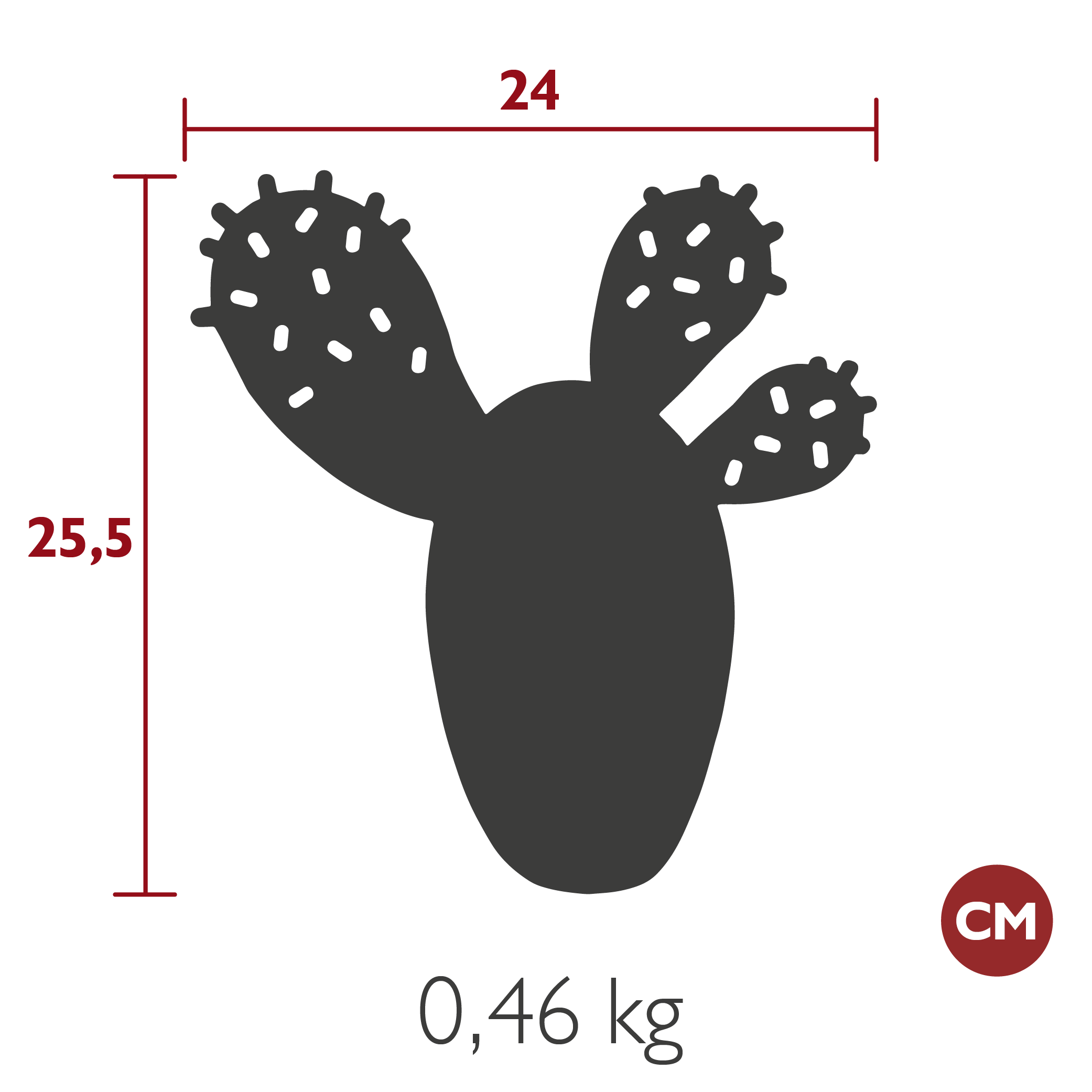 Product image dimension